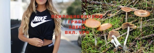 экстази Белоозёрский