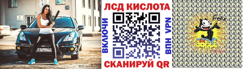 как найти   Сегежа  Марки N-bome 1,8мг 